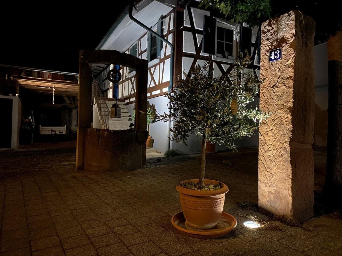 דירות הרבולצהיים Traumhaft Wohnen Im Haus Blum מראה חיצוני תמונה